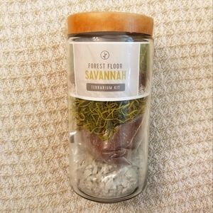 Modern Sprout Terrarium Kit
